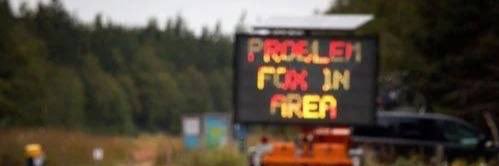 Sox Smith 🦊 banner