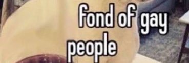 QueenFlumpy's profile banner image