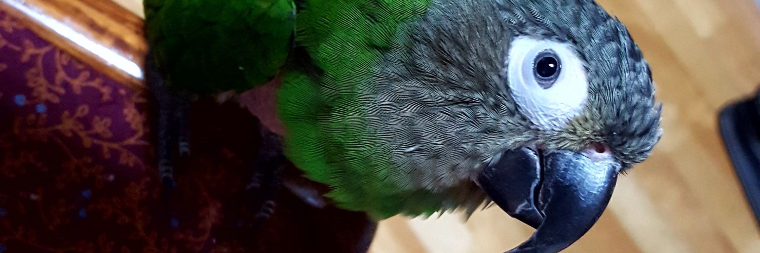 enku85's profile banner image