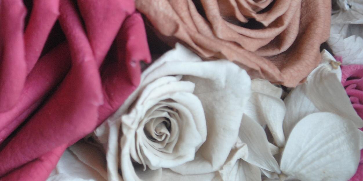 makeupsorrento's profile banner image