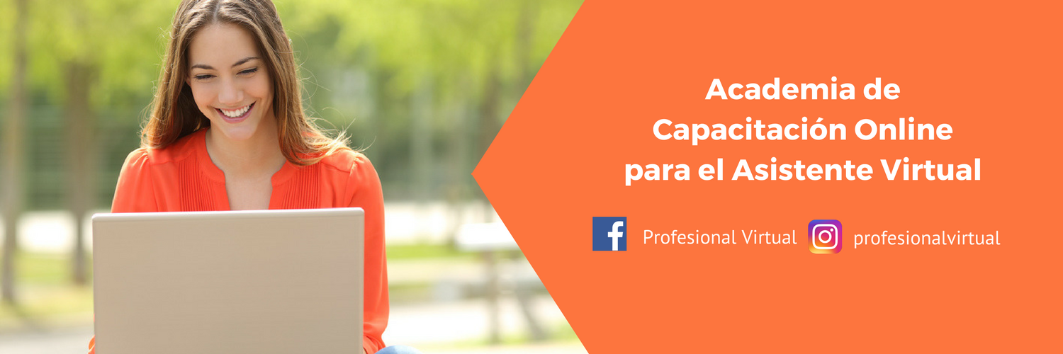 Profesional Virtual banner