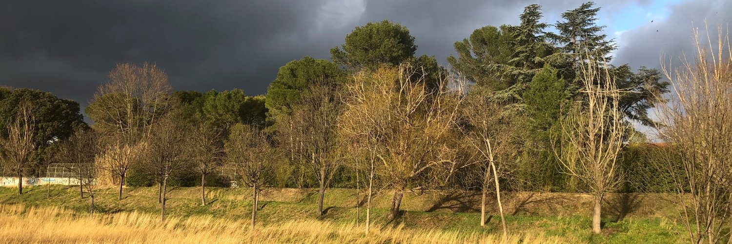 Cyril Sarrauste banner