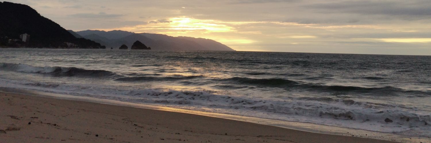 alandagas's profile banner image