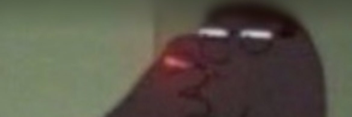 Trixtr banner