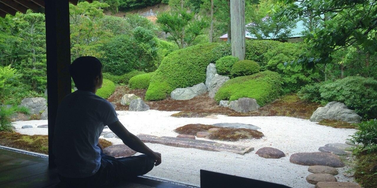 amariyoppy's profile banner image