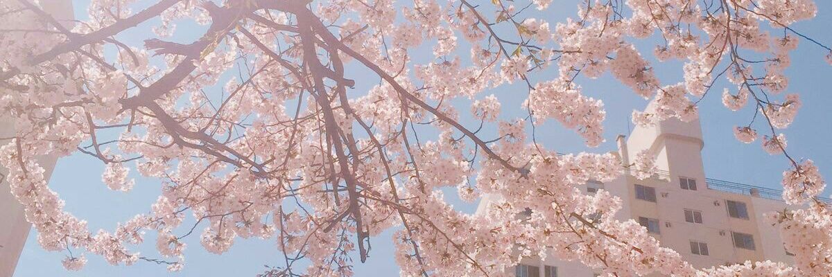 redeubelbedeu's profile banner image