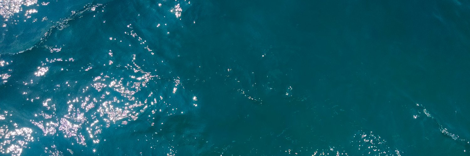 manisklemensia's profile banner image