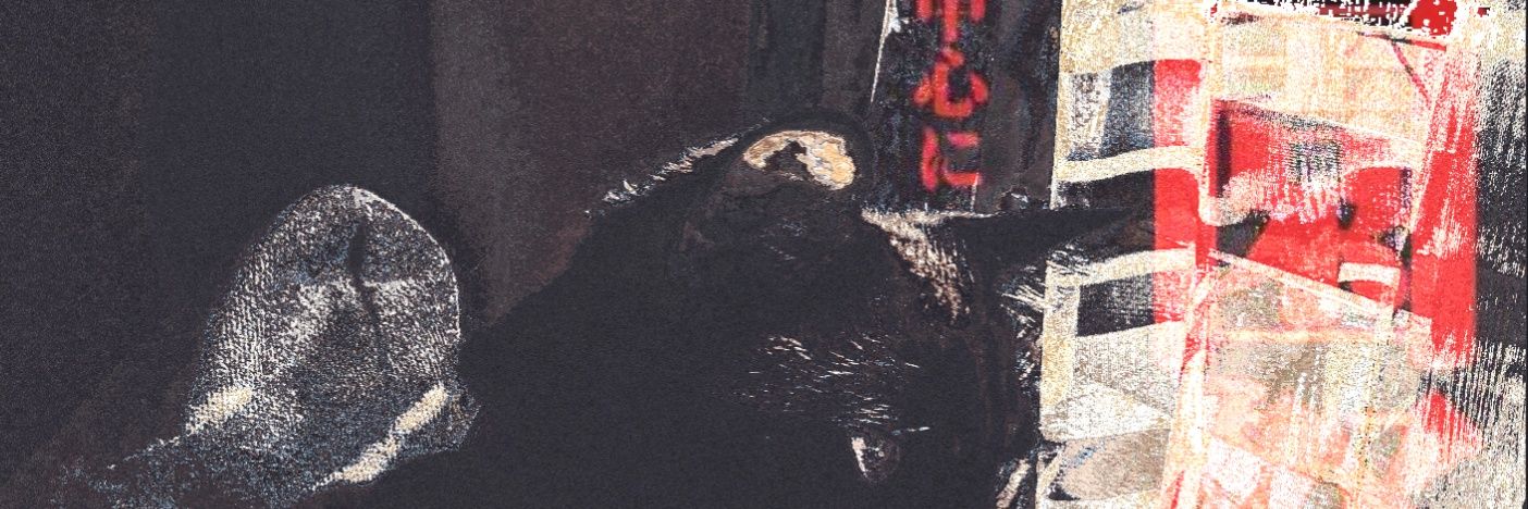 Okyo🫪 banner