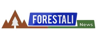 ForestaliNews's profile banner image