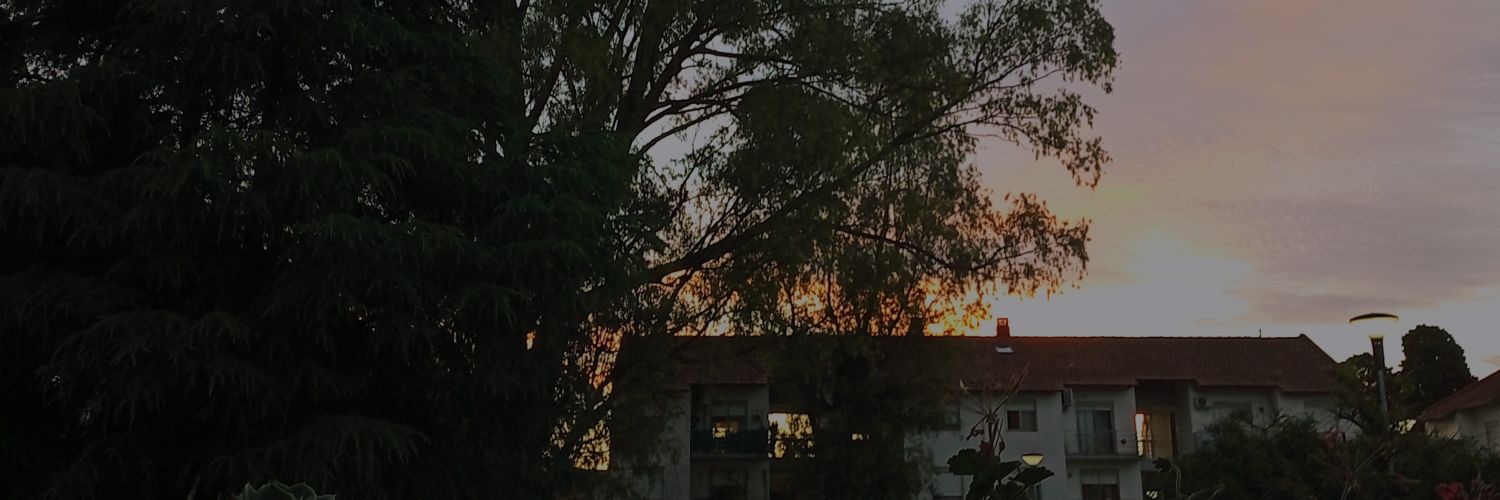 1Benedetti's profile banner image