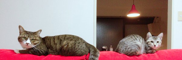 ryucryuc Profile Banner