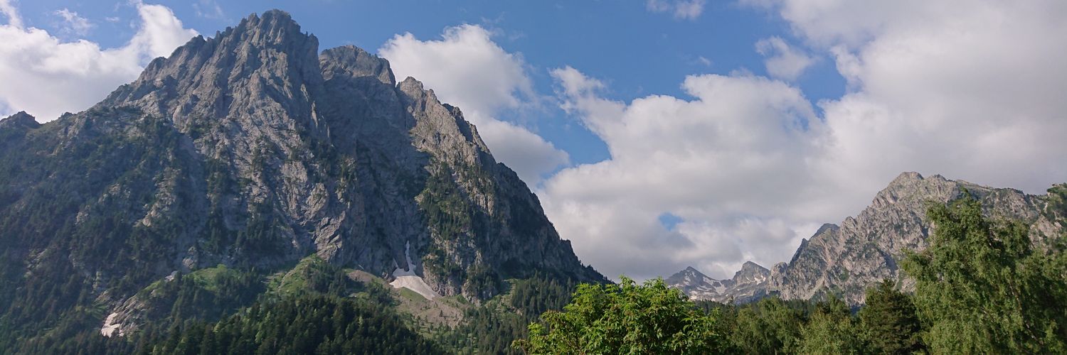 Xavier Domene 🇵🇸 banner