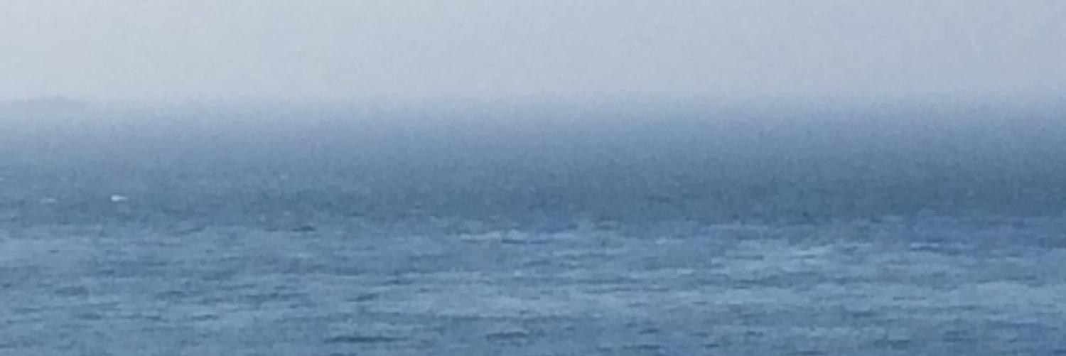 n_colizza's profile banner image