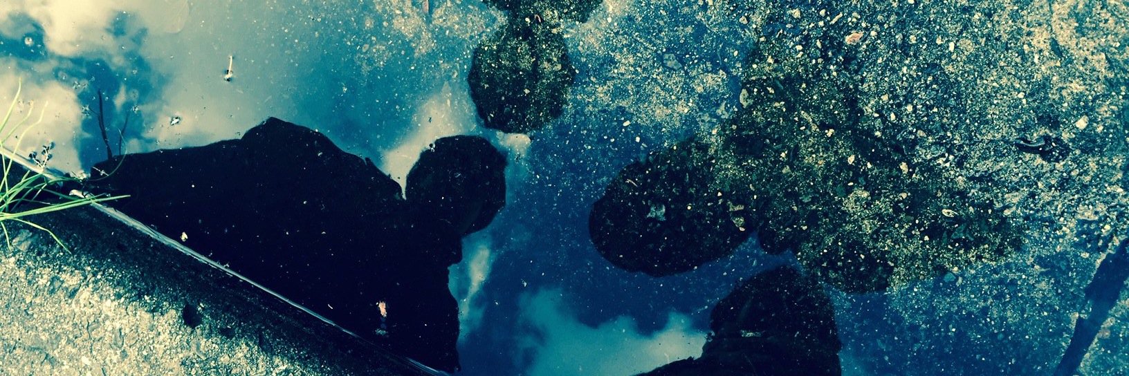 VoxToshi's profile banner image