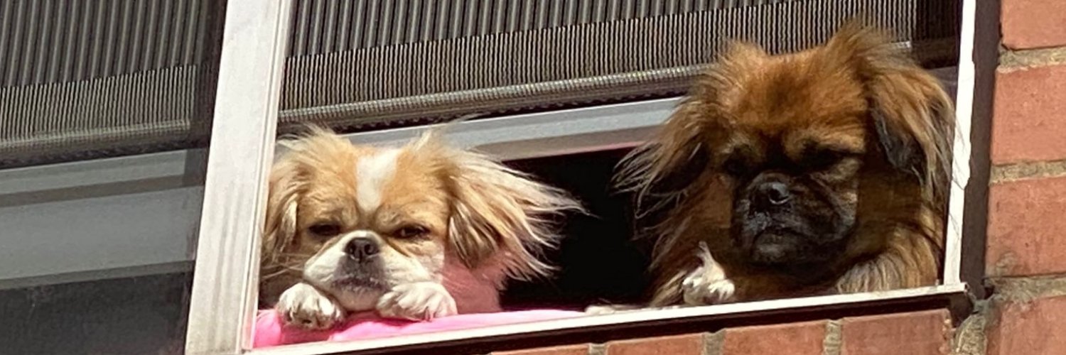 RAMVV's profile banner image