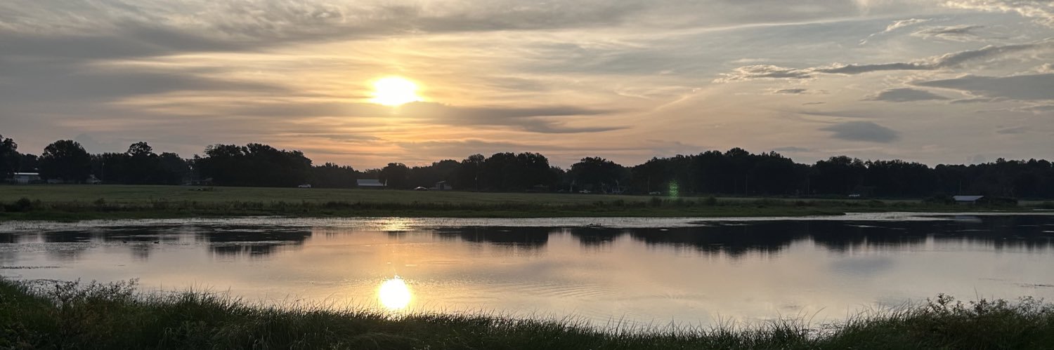 Amanda Forsythe banner