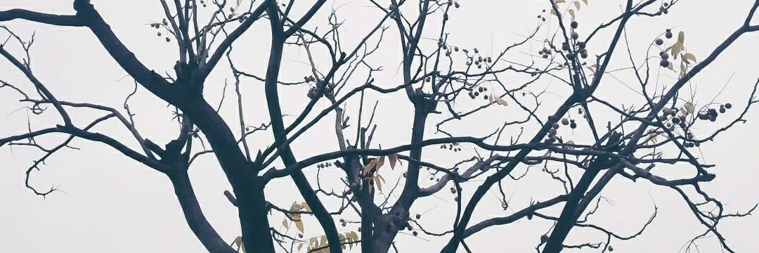 jojoo112358's profile banner image