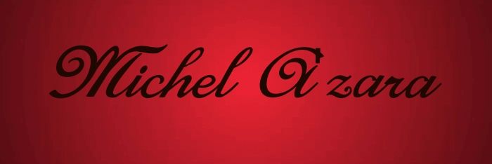 Michel banner