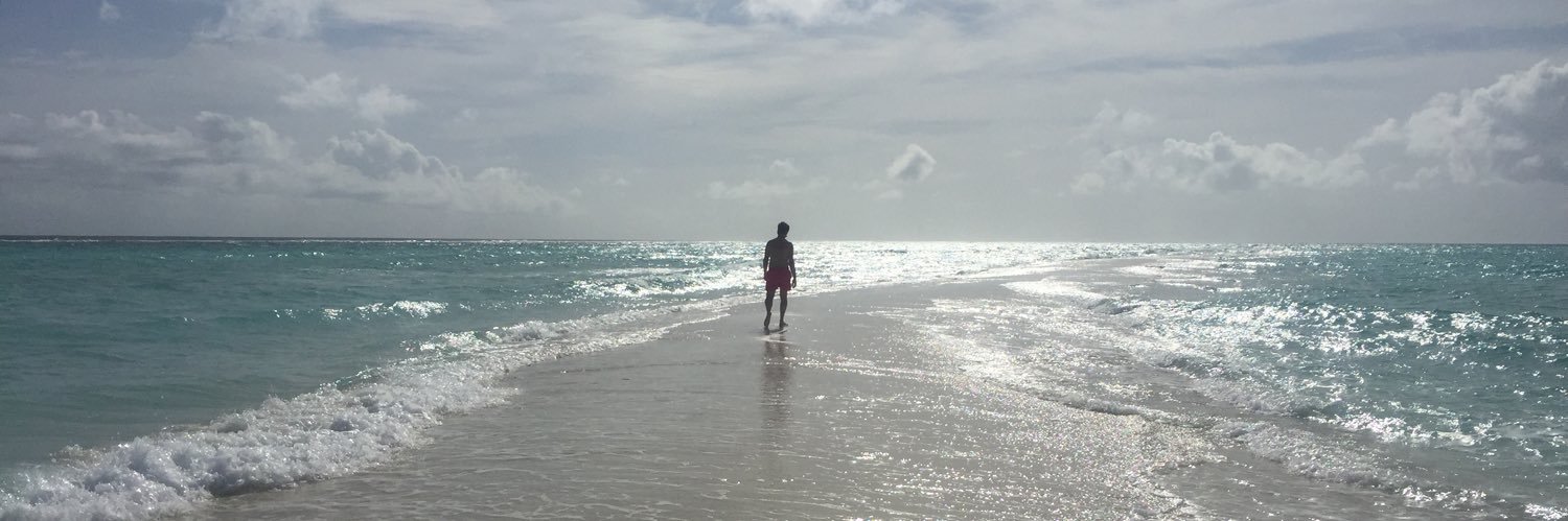 Michael Pearlman banner