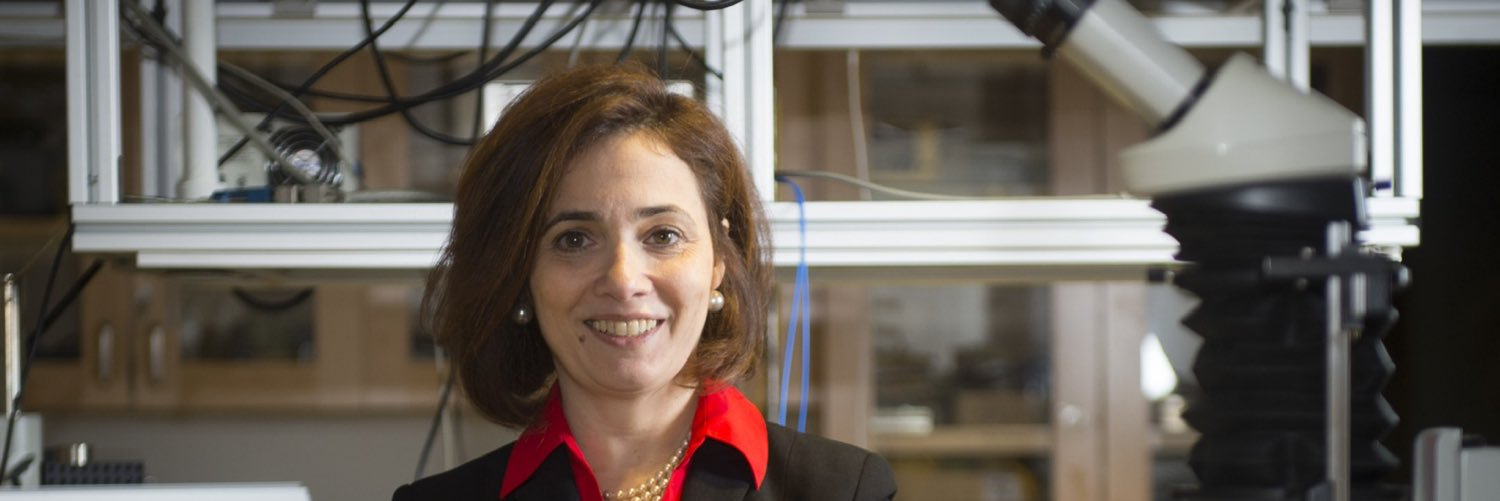 Michal Lipson banner