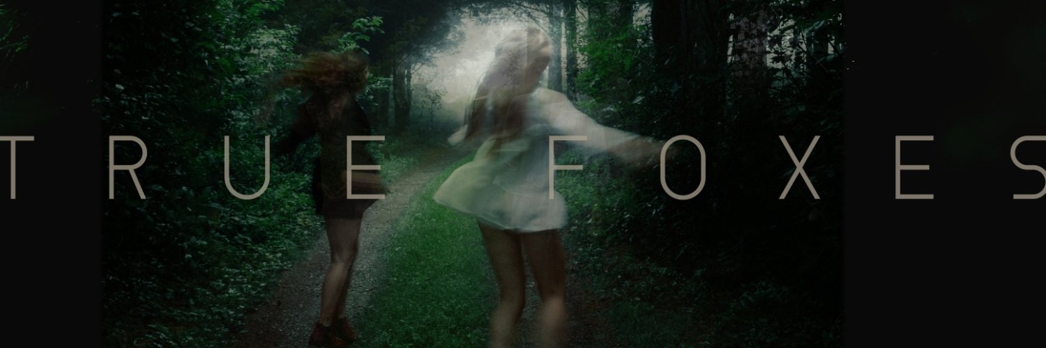 True Foxes banner