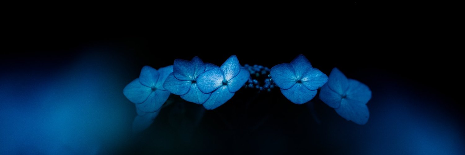 lissomce's profile banner image