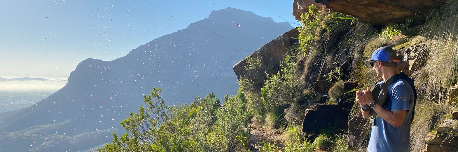 Artificial Unintelligence banner