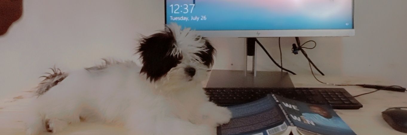 Peppermint🌹| Cloud banner