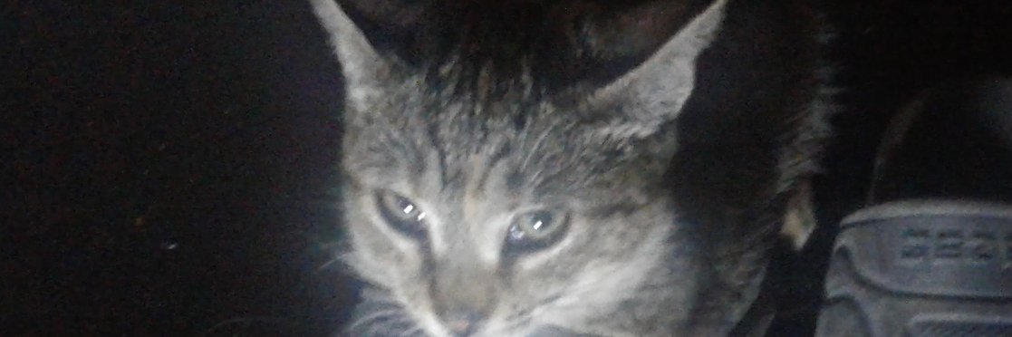 CEZALI63's profile banner image