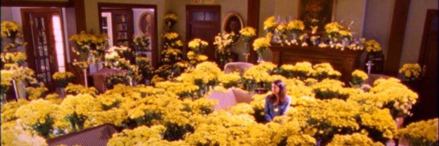 MariaLoonsri's profile banner image