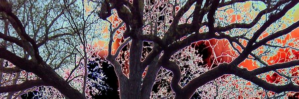 mia_deplorable Profile Banner
