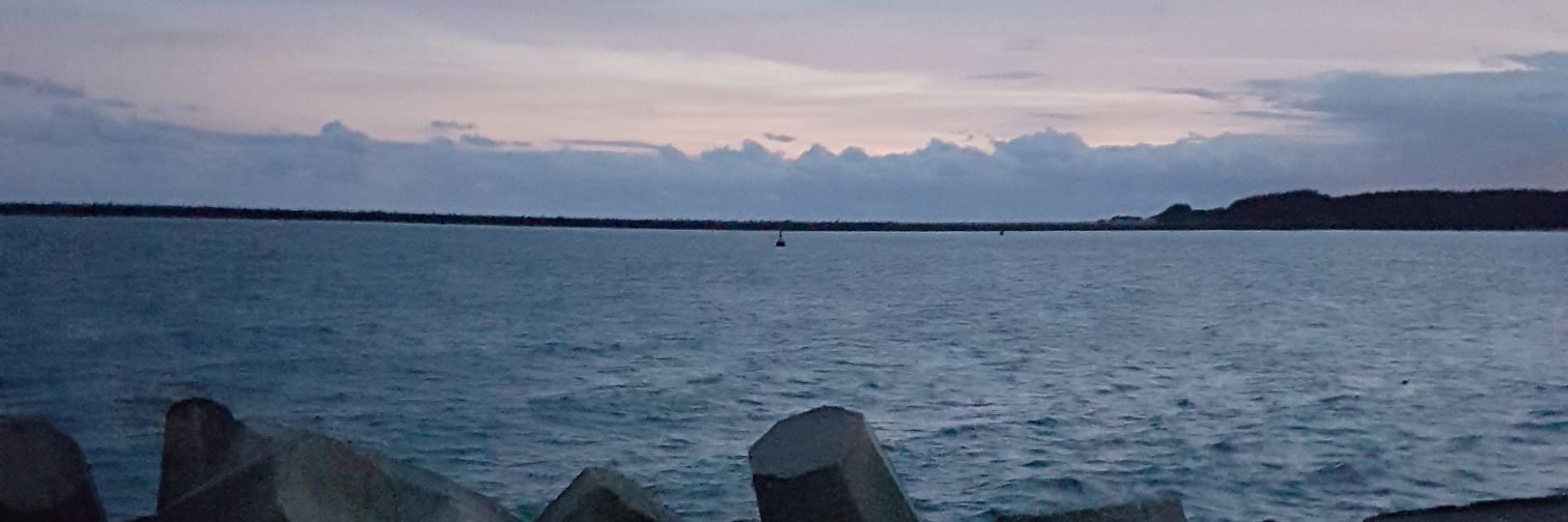 Ngcebo S. Mhlongo banner