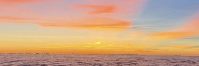 aleroree's profile banner image