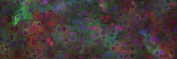 RegotLab Profile Banner