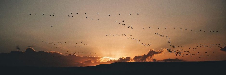 wesleyrose_'s profile banner image
