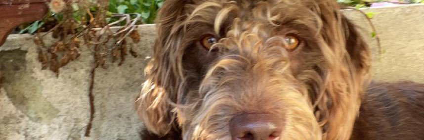 Paul Masterson banner