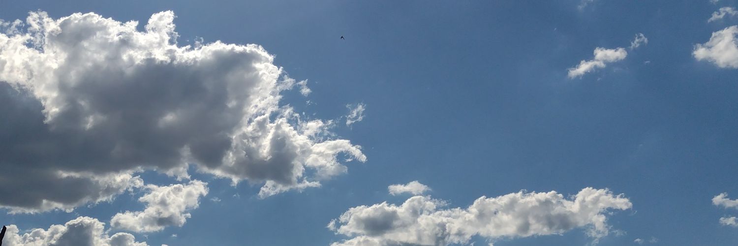 LPrytuluk's profile banner image