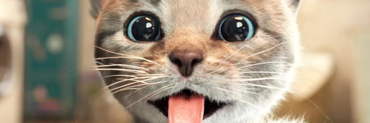 house_cat___'s profile banner image