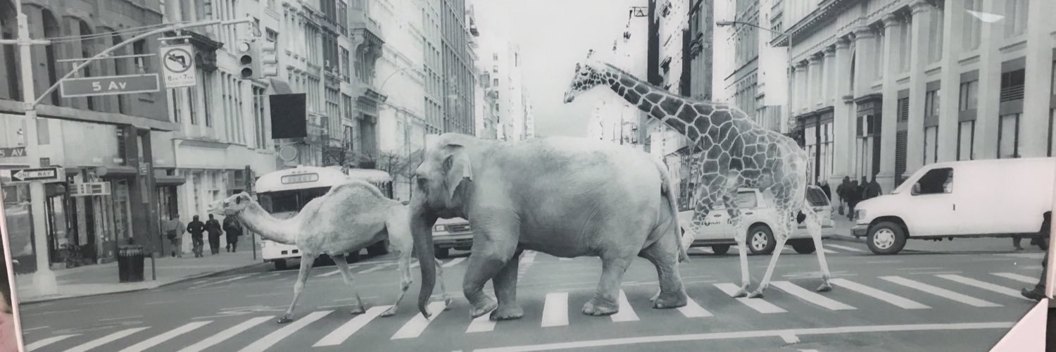 LibbyDelG's profile banner image