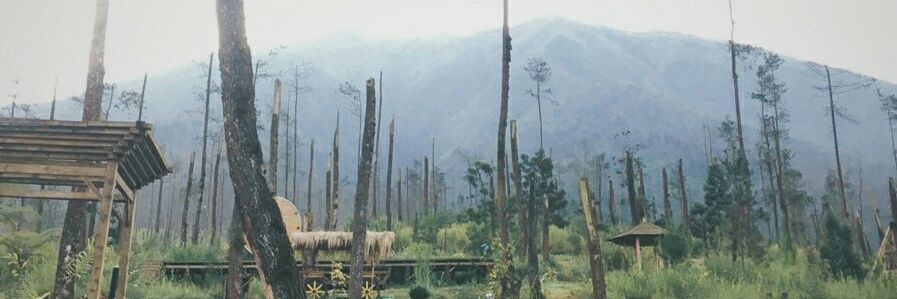 TegarWhy_'s profile banner image