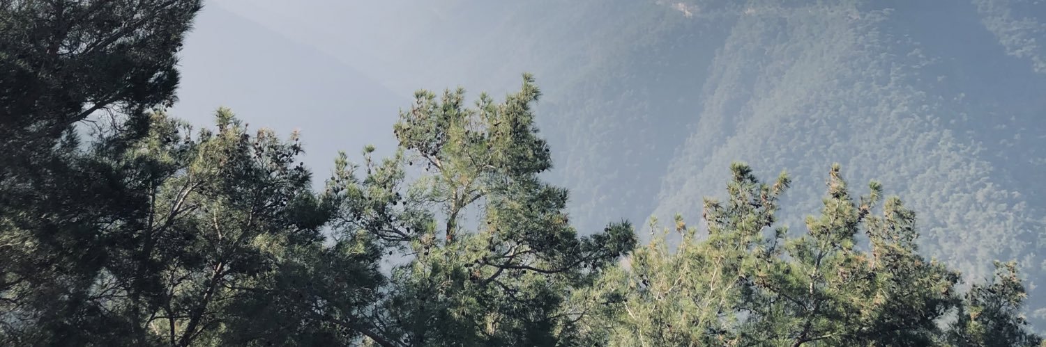 SibelBykr's profile banner image