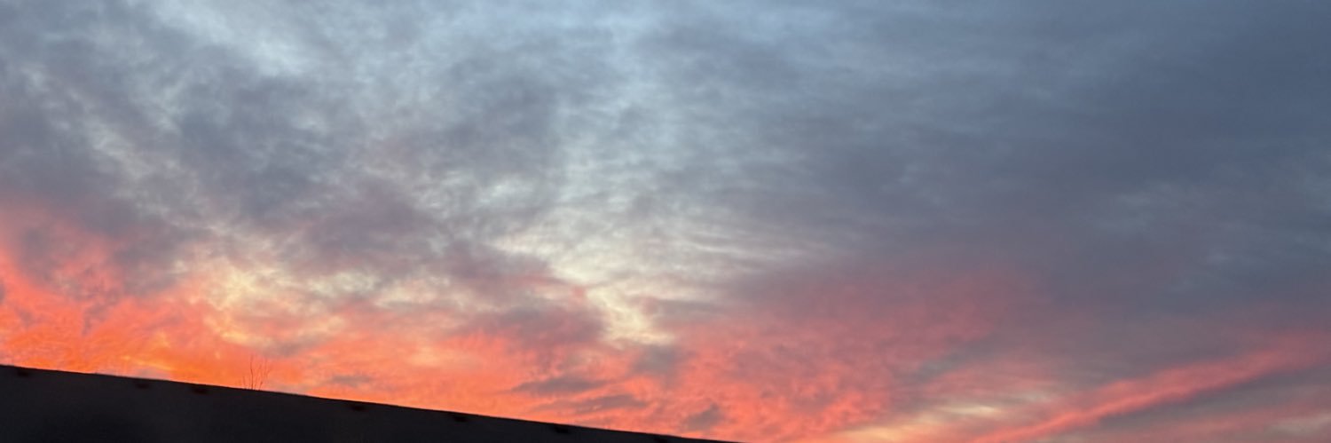nine banner