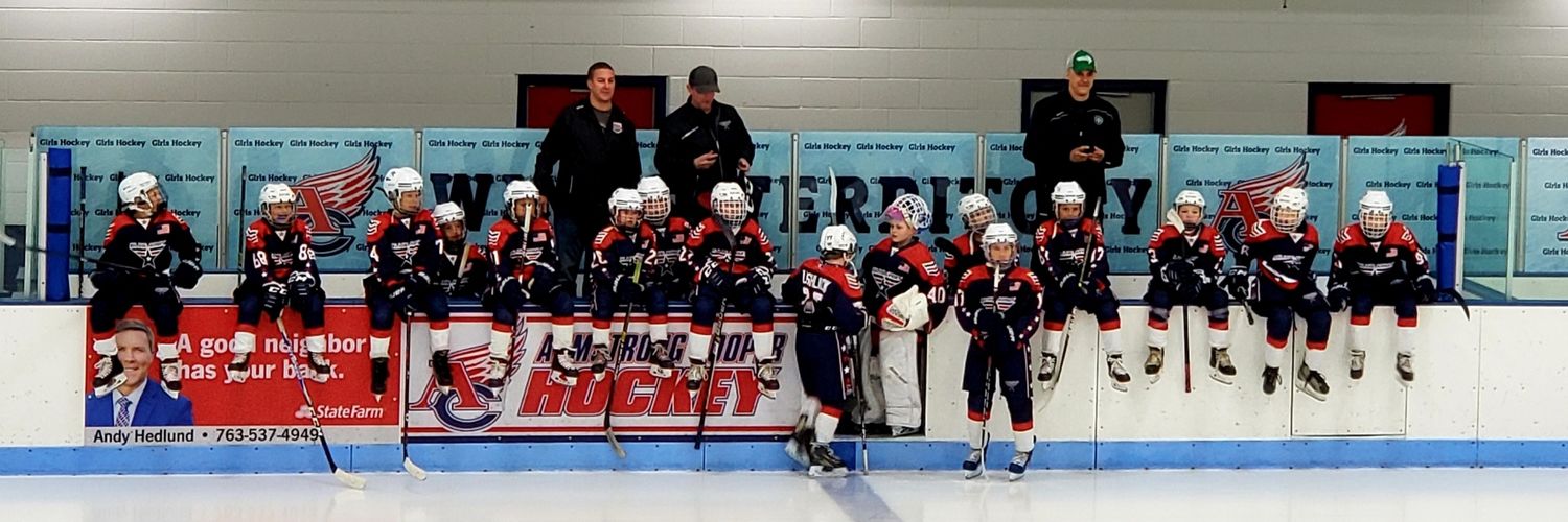 2009 Blue Army Selects banner