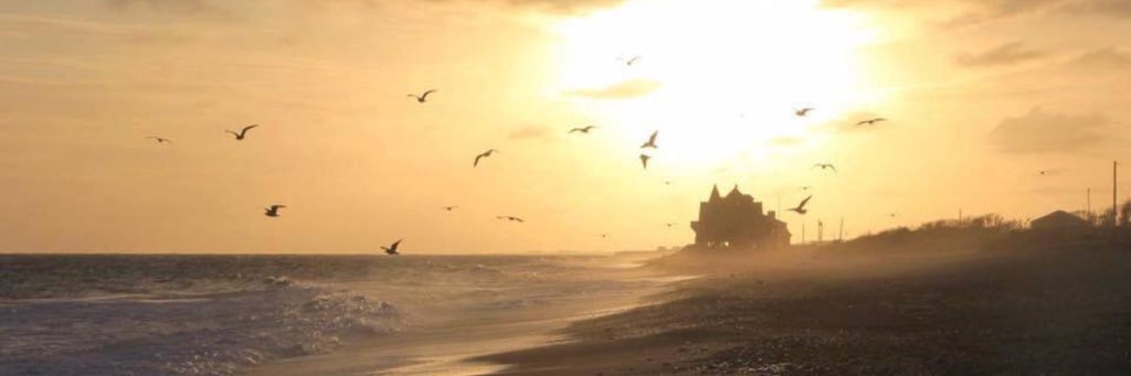 molliefoster96's profile banner image