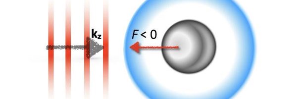 MonsterLab_ND Profile Banner