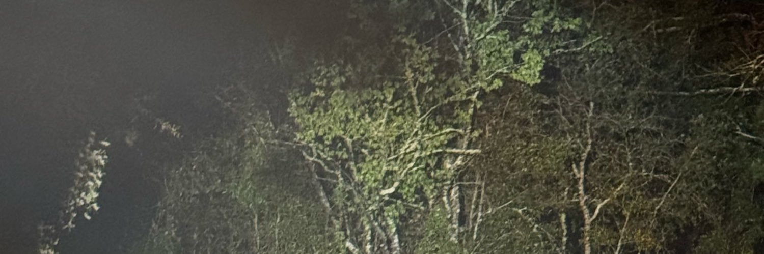 ricky2blea's profile banner image