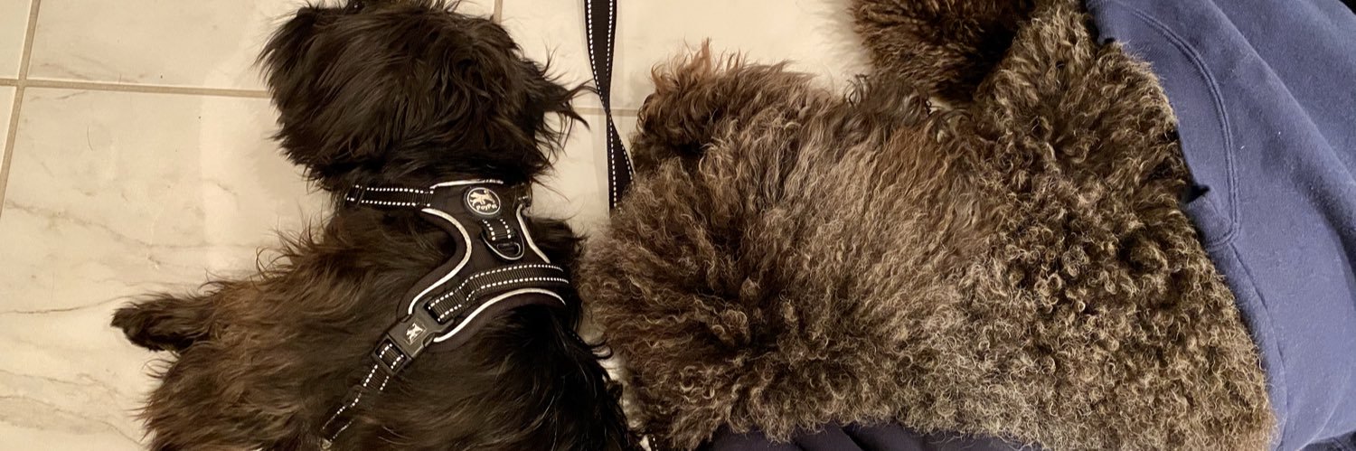 PepperandChewy's profile banner image