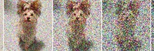 Sorama zancadilleado ۞ banner