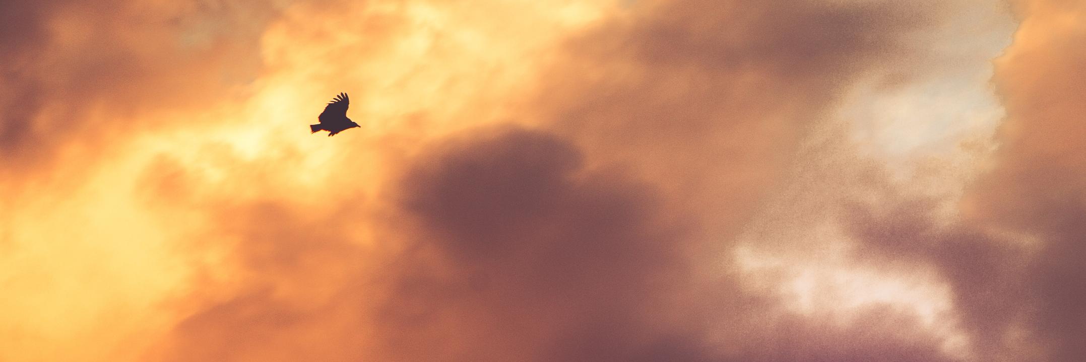 NikitheSwede's profile banner image