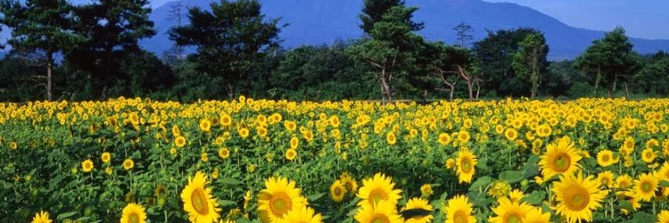 daksha2508's profile banner image